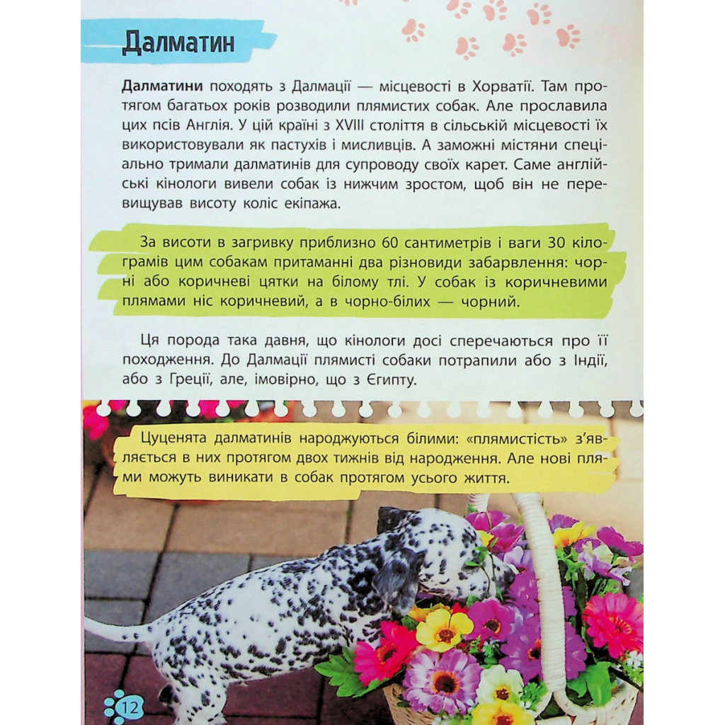 Книга Мініенциклопедія. Хатні улюбленці Vivat (9789669827241) - зображення 12