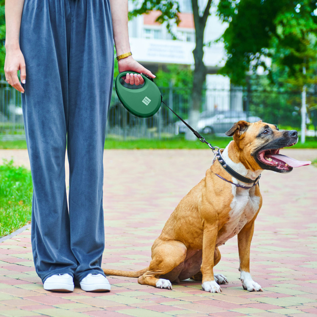 Повідець для собак WAUDOG R-leash з контейнером для пакетів S до 12 кг 3 м зелений (262718) - зображення 6
