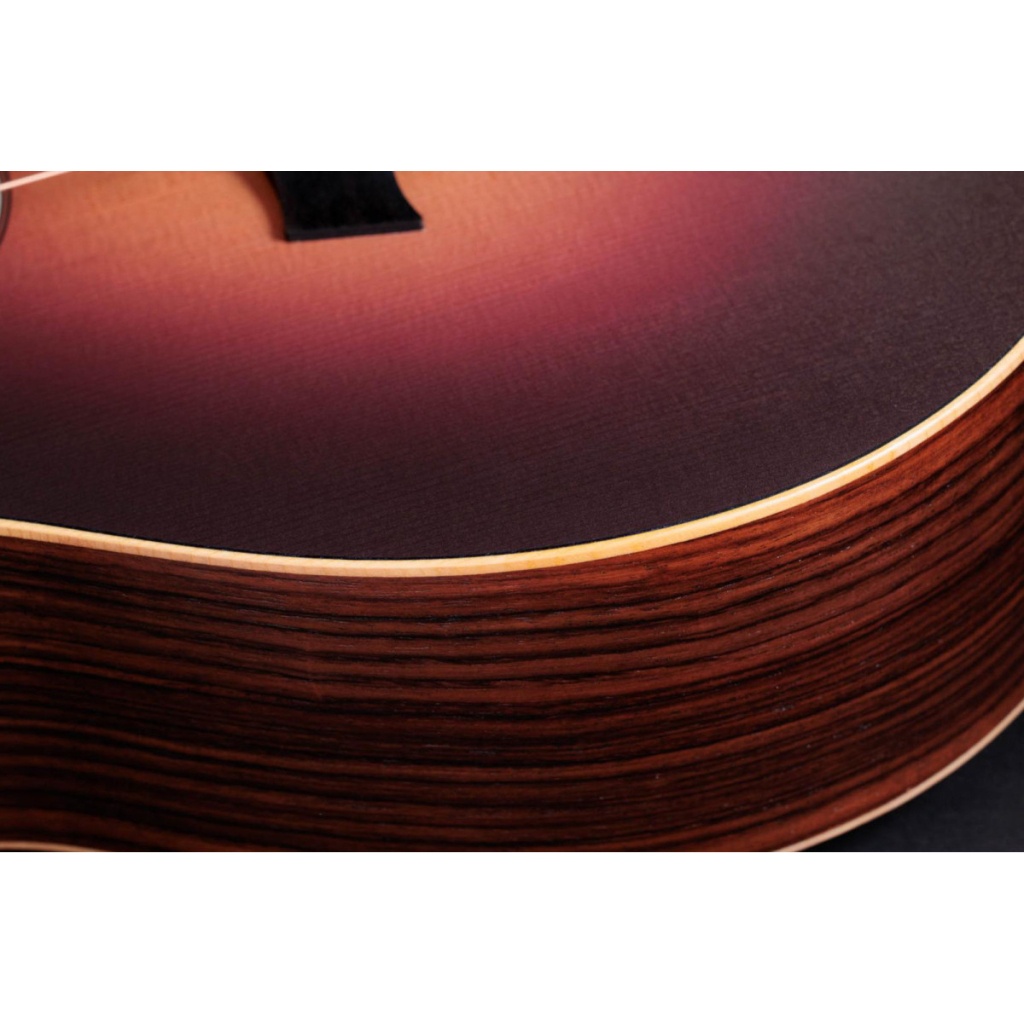 Гітара електроакустична Taylor Guitars 50th Anniversary GS Mini-e Rosewood SB LTD (236873) - изображение 12
