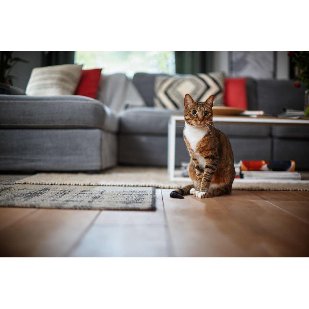 Пилосос Philips FC8822/01 - зображення 6