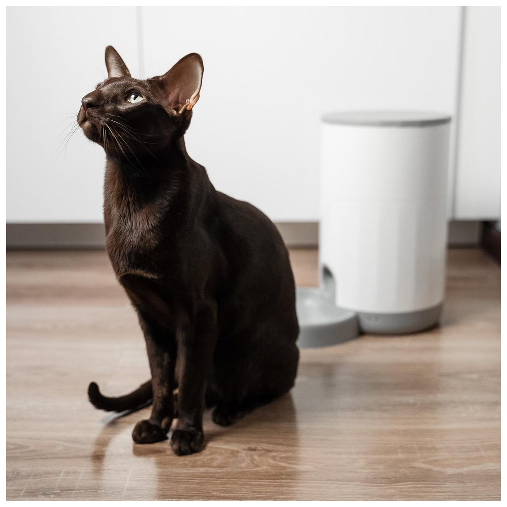 Універсальний посуд для тварин Petoneer Nutri Mini Feeder (PF005) - изображение 10