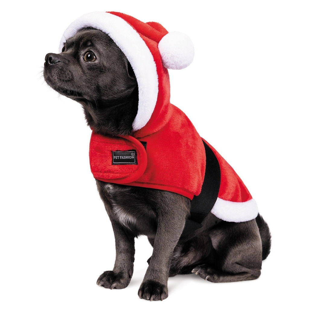 Попона для тварин Pet Fashion "SANTA" XS2 (4823082423675) - зображення 2