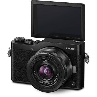 Цифровий фотоапарат Panasonic DC-GX800 Kit 12-32mm (DC-GX800KEEK) - зображення 9