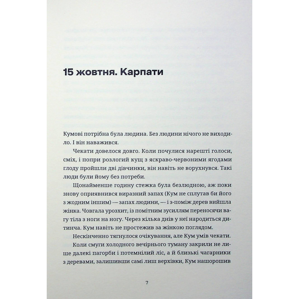 Книга Тамдевін. Бора - Галина Вдовиченко Видавництво Старого Лева (9789664483114) - зображення 7