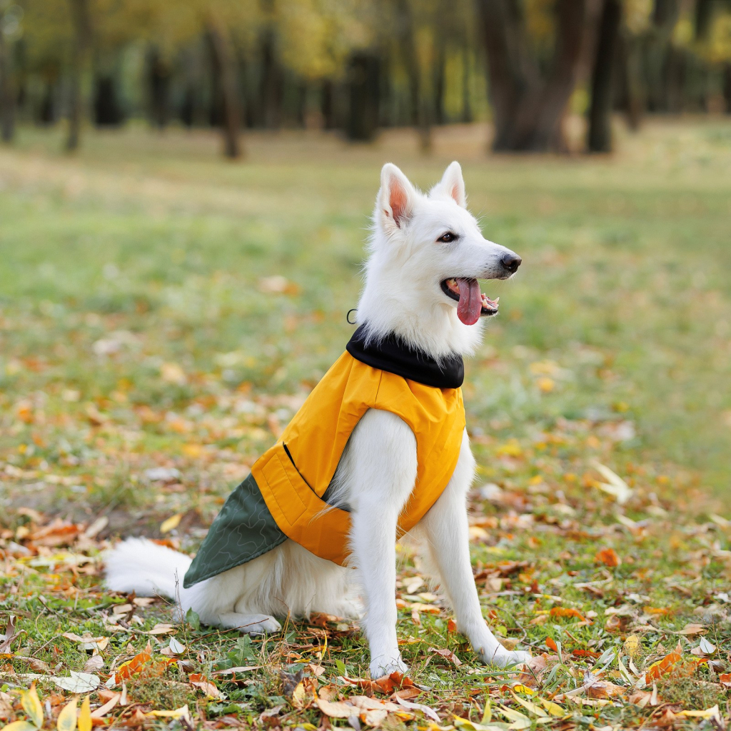 Попона для тварин Pet Fashion ROY 7XL хакі-гірчиця (4823082432790) - изображение 8