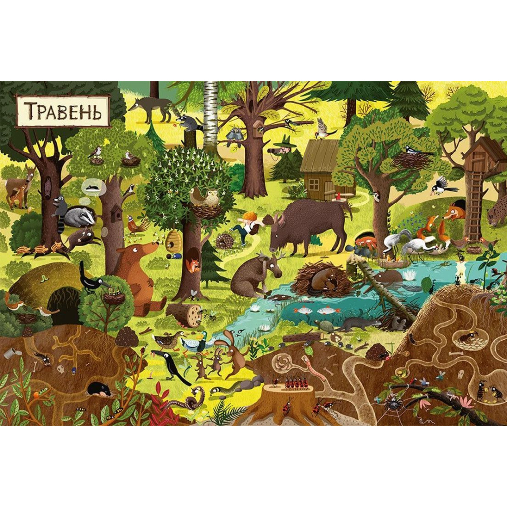 Книга Рік у лісі - Емілія Дзюбак Видавництво Старого Лева (9786176792789) - зображення 3