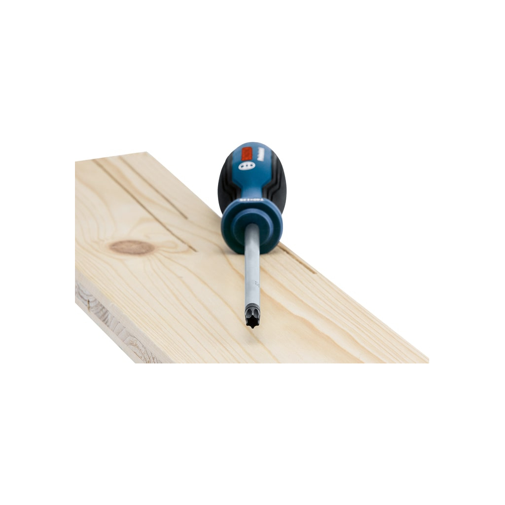 Набір викруток Bosch Torx 6шт, T10х75, T15х75, T20x100, T25x100, T30x125, T40x125 мм (1.600.A01.V09) - зображення 3