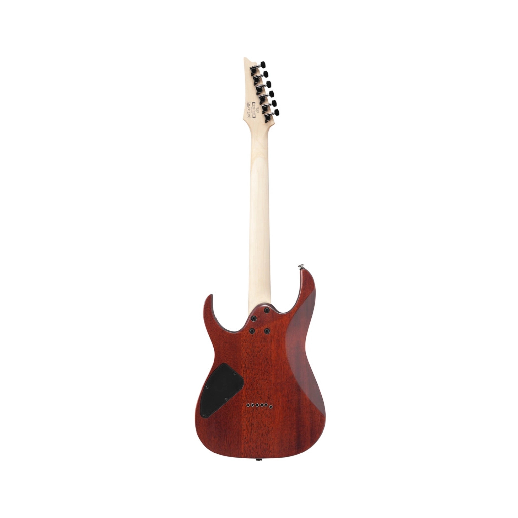 Електрогітара Ibanez RG421S SEM (234944) - изображение 2