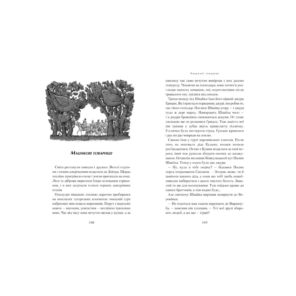 Книга Джури козака Швайки - Володимир Рутківський А-ба-ба-га-ла-ма-га (9789667047986) - зображення 5