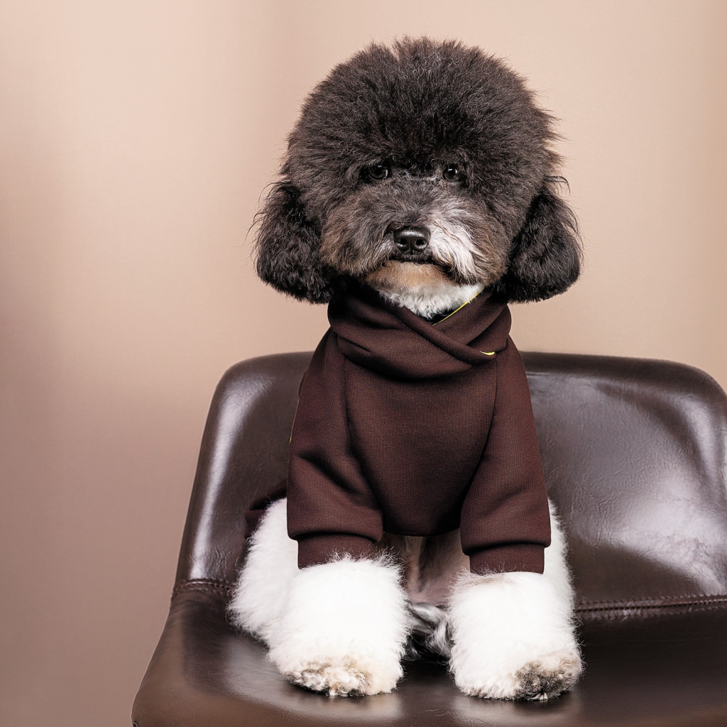 Толстовка для тварин Pet Fashion Megan M (4823082430277) - зображення 3