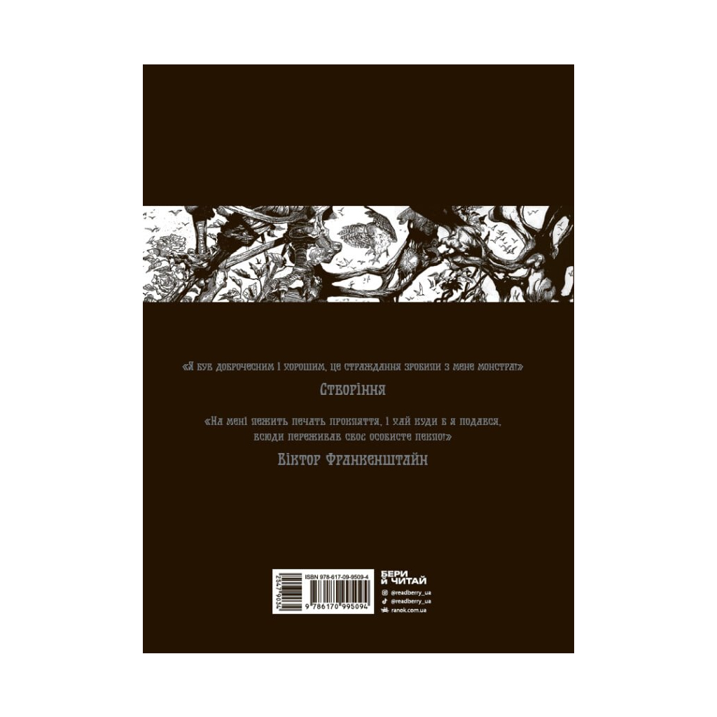 Комікс Франкенштайн - Жорж Бесс, Мері Шеллі Readberry (9786170995094) - зображення 2