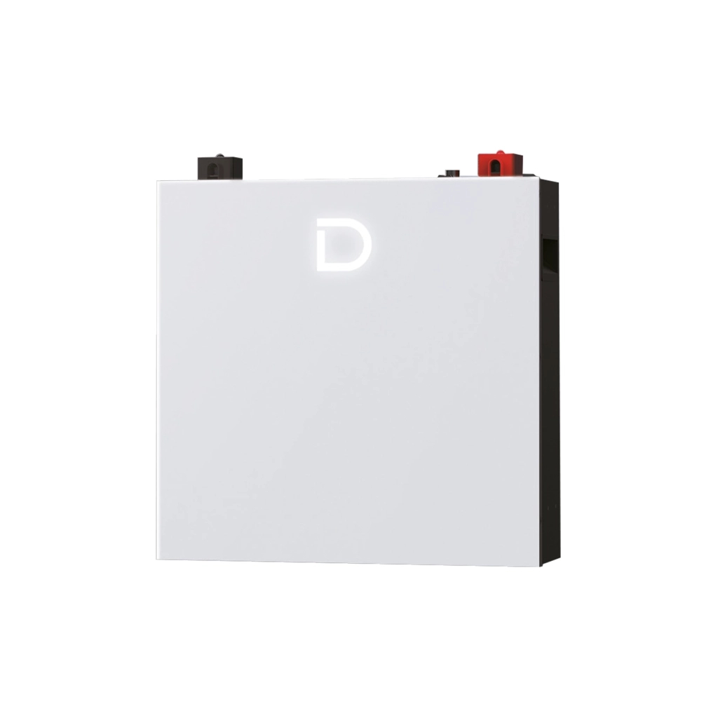 Батарея LiFePo4 Dyness DL5.0C Pro 51.2V - 100Ah (DL5.0C Pro) - зображення 1