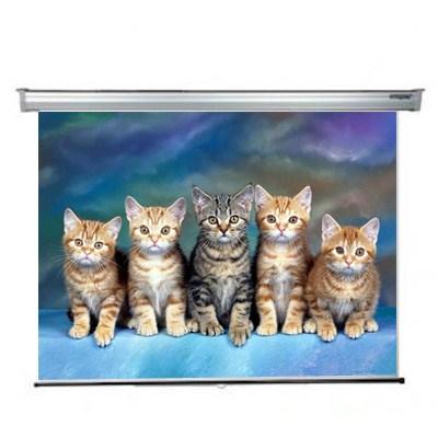Проекційний екран Sopar 3200RP - зображення 1
