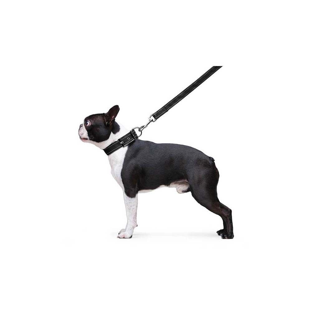 Повідець для собак Dog Extreme з нейлону подвійний Ш 20 мм Д 122 см чорний (42981) - зображення 5