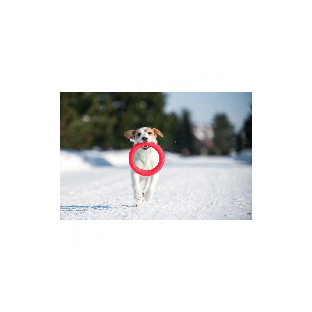 Іграшка для собак Collar PitchDog Кільце для апортування 28 см рожеве (62387) - зображення 8