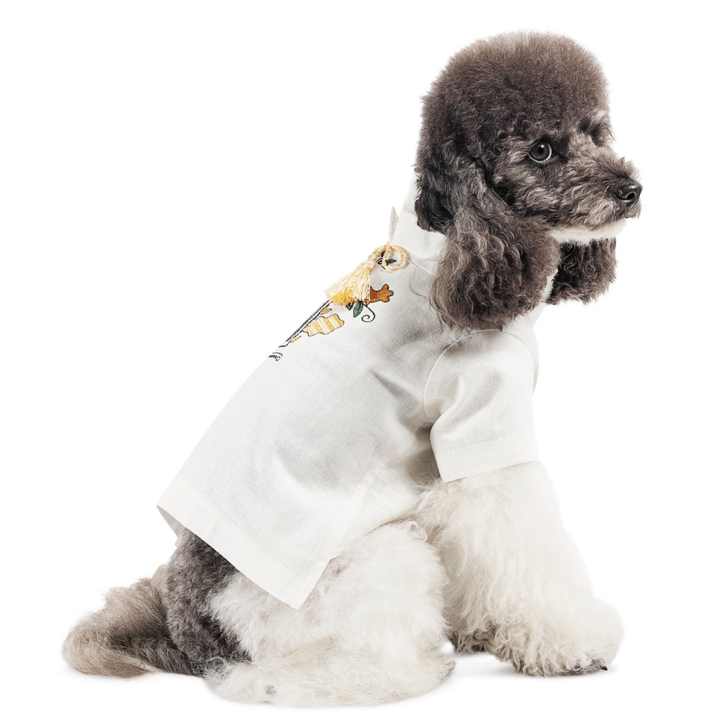Футболка для тварин Pet Fashion Ostap XS (4823082439263) - зображення 5