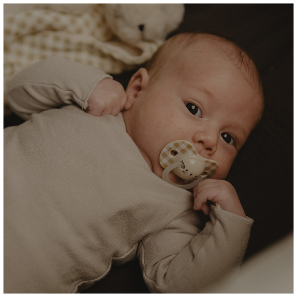 Пустушка Suavinex фізіологочна, 2 шт. 0-6 місяців, нічна/кролик (308214) - изображение 6