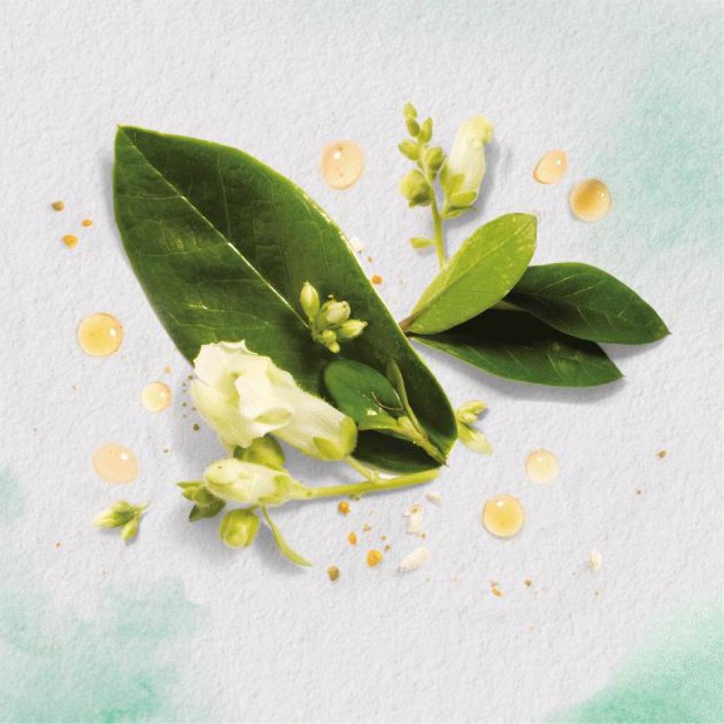 Кондиціонер для волосся Herbal Essences Олія моринги 275 мл (8001841436807) - зображення 2