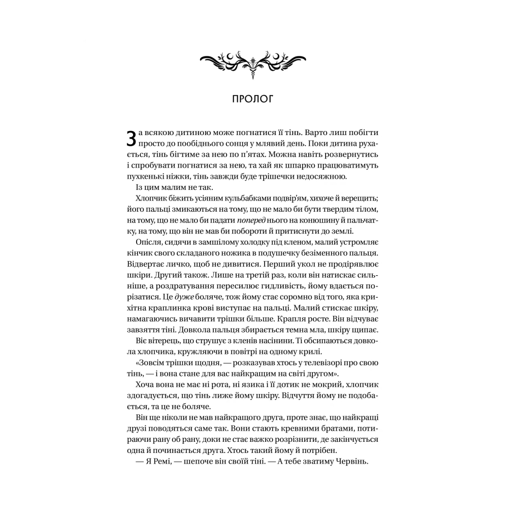 Книга Книга ночі - Голлі Блек Vivat (9786171706354) - зображення 5