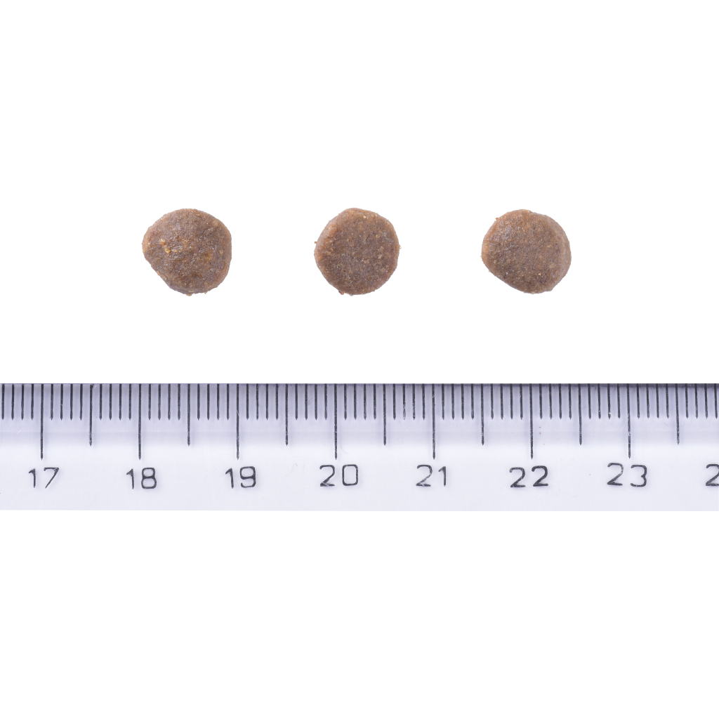 Сухий корм для собак Brit Care Dog Grain-free Puppy з лососем 1 кг (8595602558827) - зображення 4