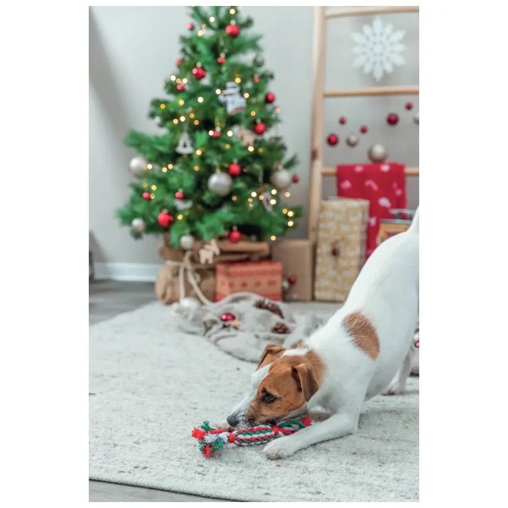 Іграшка для собак Trixie Різдвяна Канат-льодяник Бавовна/поліестер 24 см (4011905925967) - зображення 5