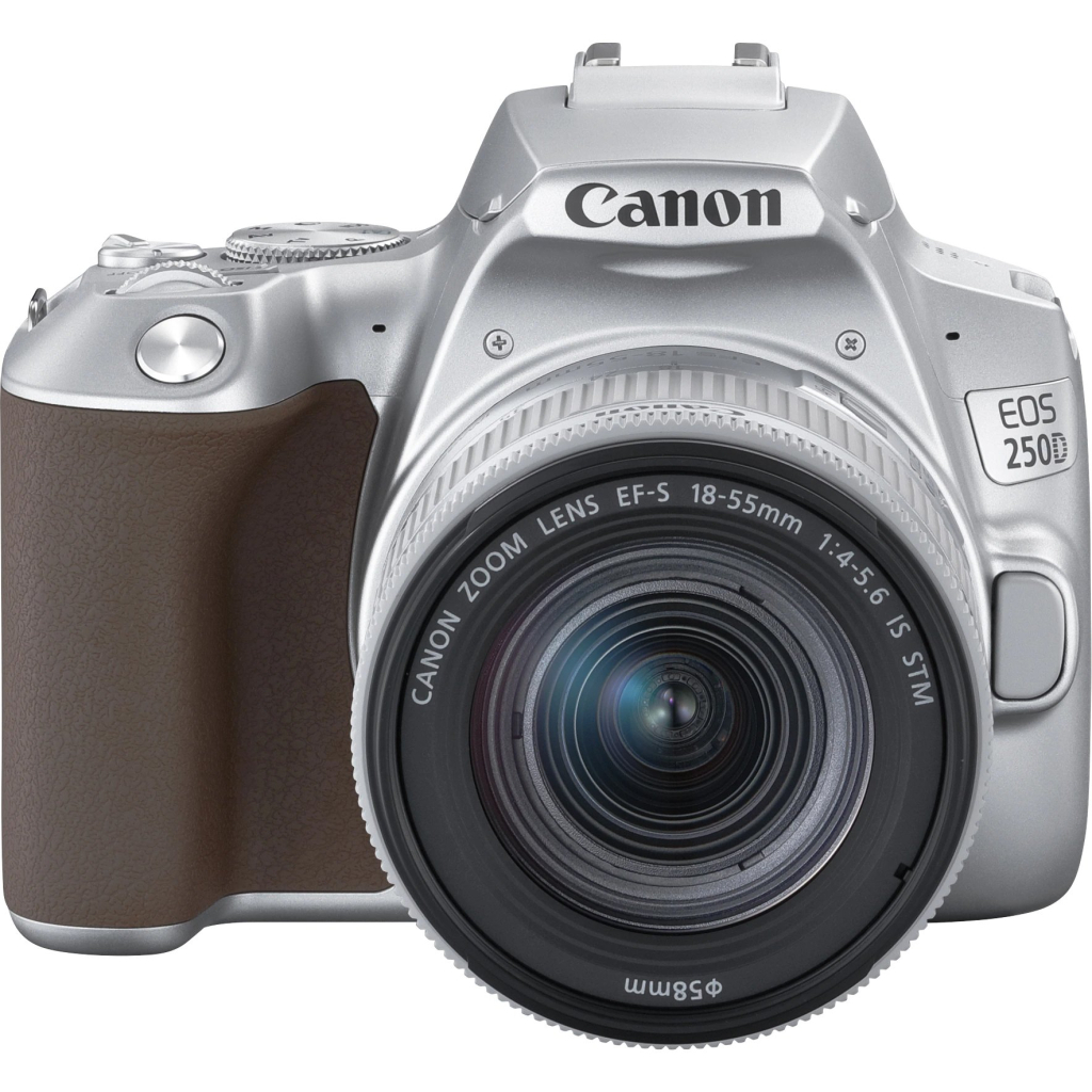 Цифровий фотоапарат Canon EOS 250D kit 18-55 IS STM Silver (3461C003) - зображення 5