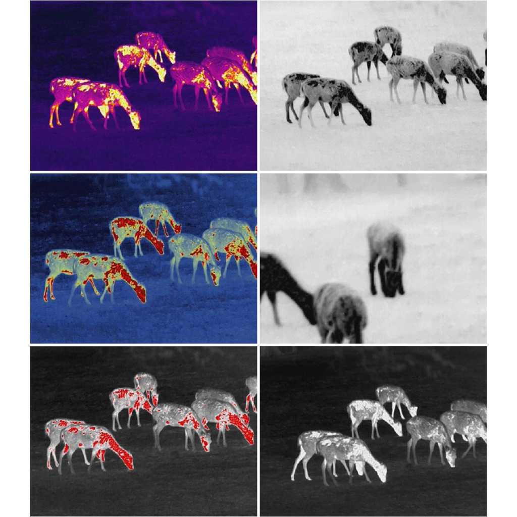 Монокуляр Guide Тепловізійний TrackIR Pro 35mm 640x480px (747110) - зображення 7