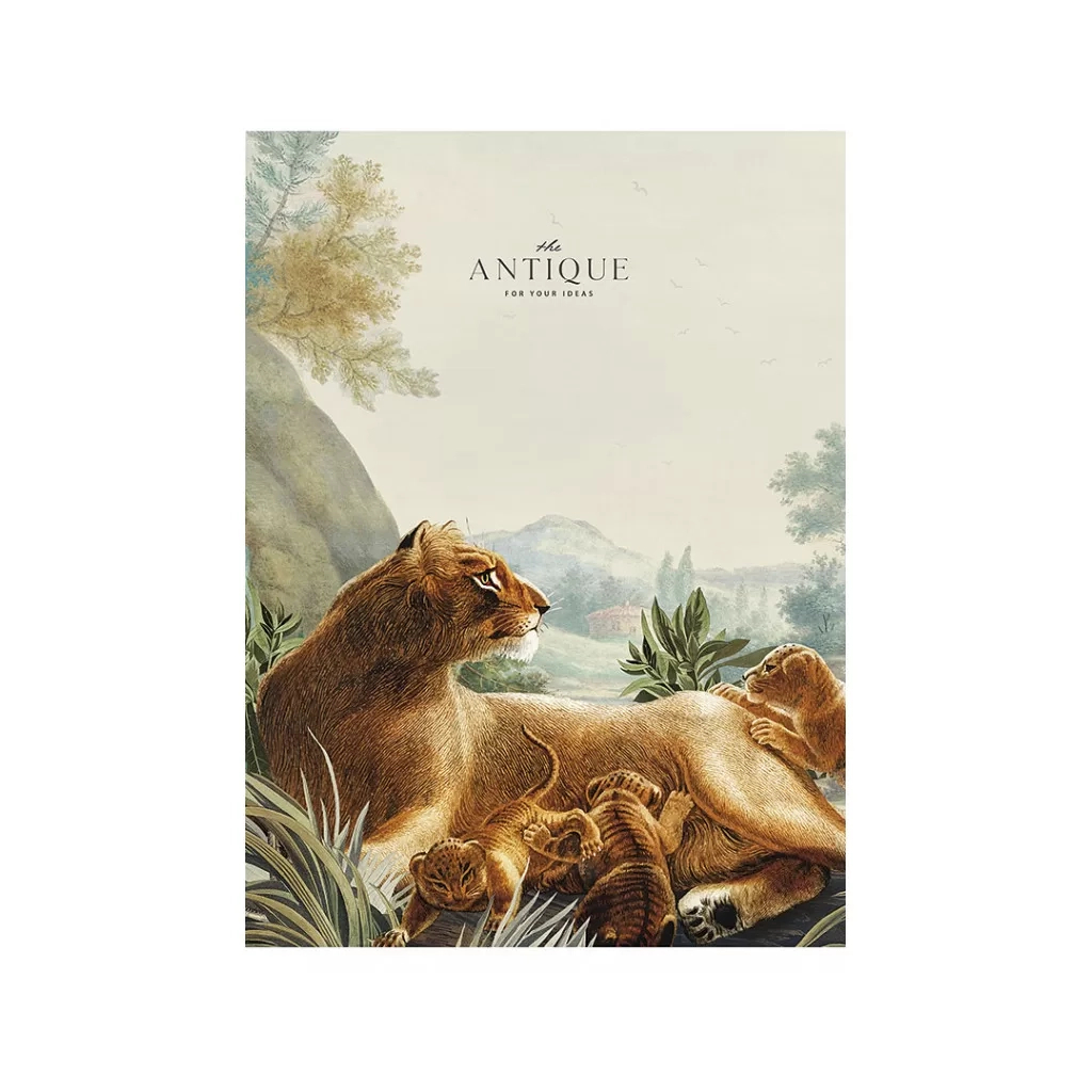 Зошит Школярик А4 Student лінія 48 аркушів (A4-048-5079L) - зображення 3