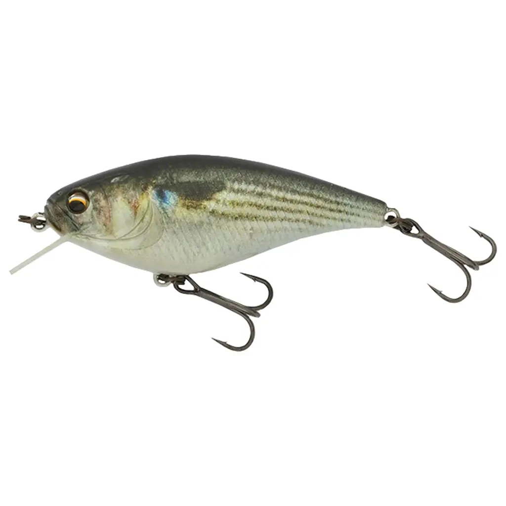 Воблер Imakatsu Gekiasa Shad 58SF 58mm 7.0g 888 (0.5m) (1452.16.92) - зображення 1