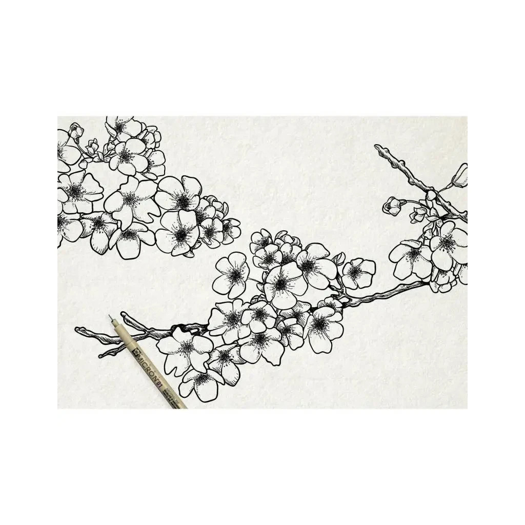 Лайнер Sakura Набір Pigma Micron 6 шт, Чорний (8710141049449) - зображення 3