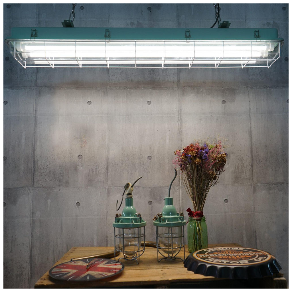 Лампочка EVROLIGHT L-1500 6400K 24Вт G13 T8 - зображення 4