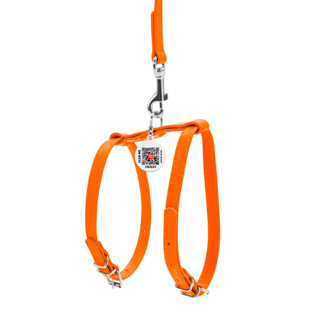 Шлея для собак WAUDOG Glamour з повідцем шкіряна Ш 9 мм А 20-30 см В 30-40 см помаранчева (33994) - зображення 2