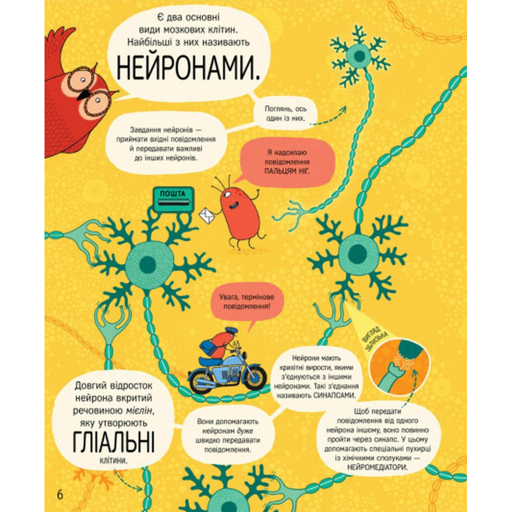 Книга Книжка про мозок і те, як він працює - Бетіна Іп #книголав (9786178012243) - зображення 6