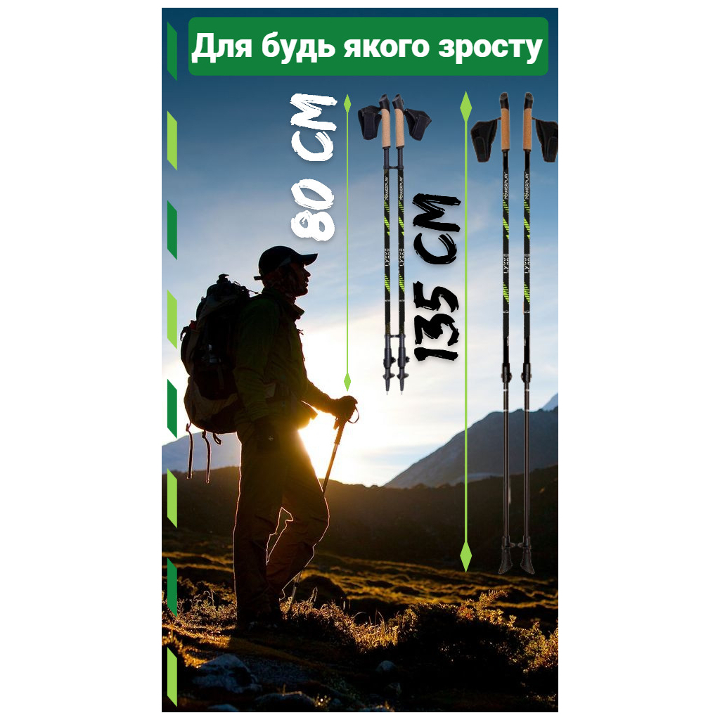 Палиці для скандинавської ходи PowerPlay 9104 Lykke Black/Green 80-135 см (PP_9104_LYKKE) - зображення 10