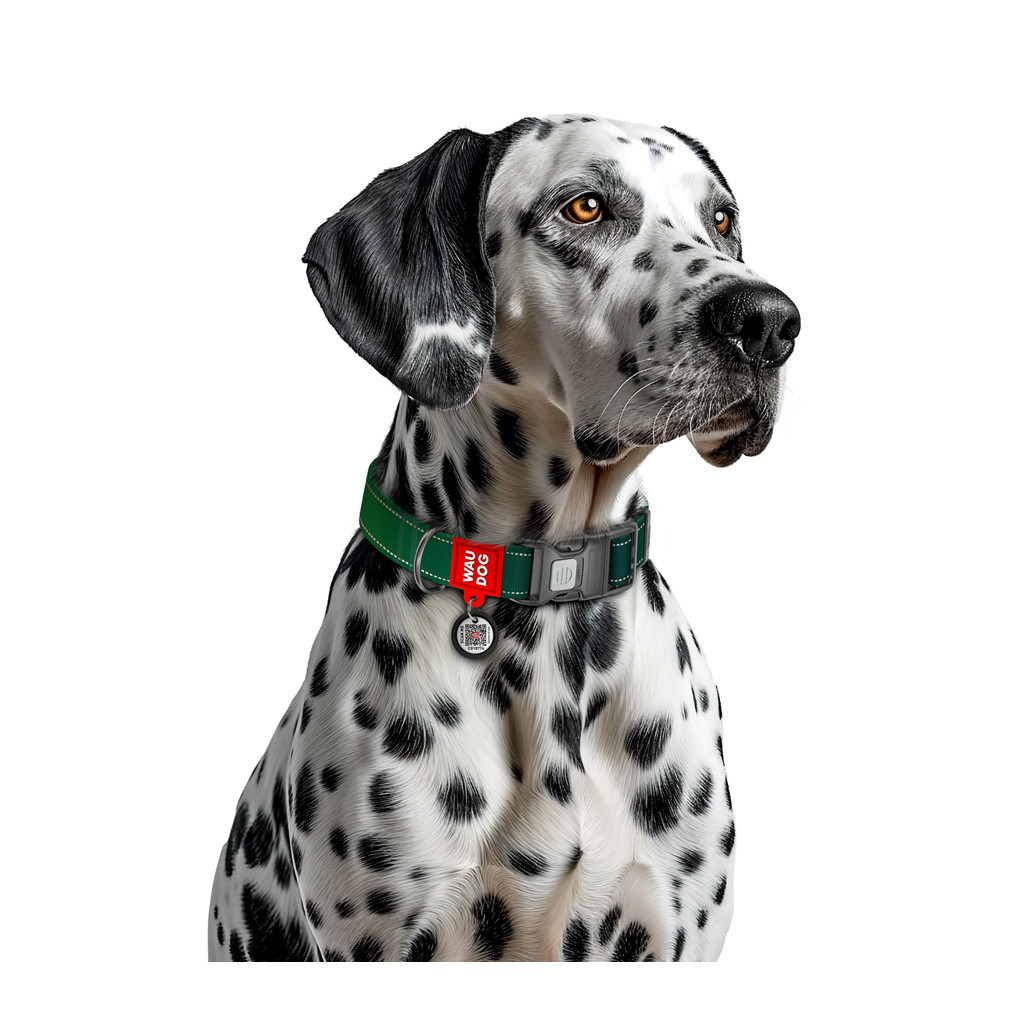 Нашийник для тварин WAUDOG Nylon Mono з QR паспортом, пластиковий фастекс M зелений (521018) - зображення 4