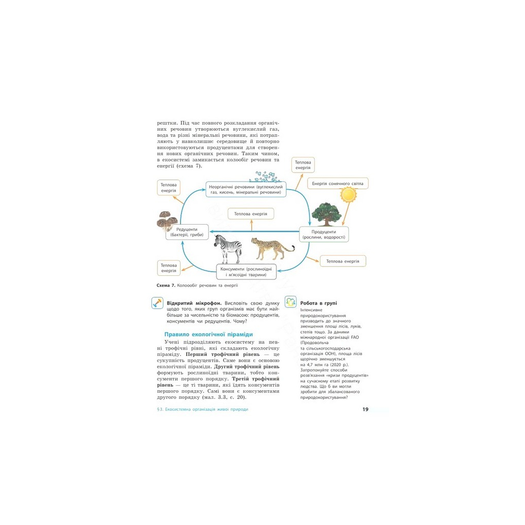 Підручник НУШ Біологія. 7 клас - О.В. Тагліна, А.М. Самойлов, О.М. Утєвська, Л.В. Довгаль Ранок (9786170987686) - зображення 6