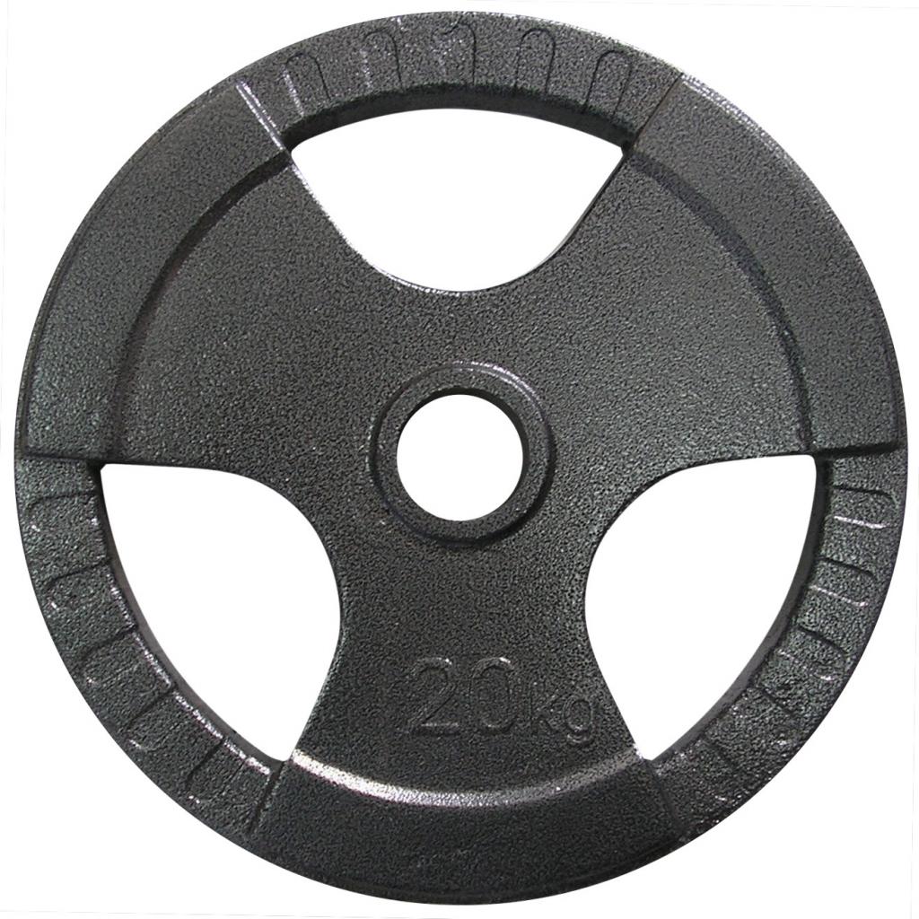 Диск для штанги Newt 20 кг (TI-N-020) - зображення 1