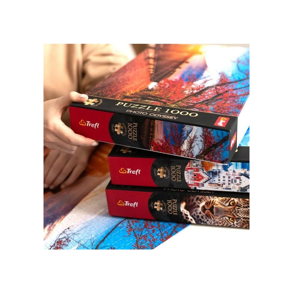 Пазл Trefl Premium Манхеттен, Нью-Йорк 1000 елементів (5900511108286) - зображення 5