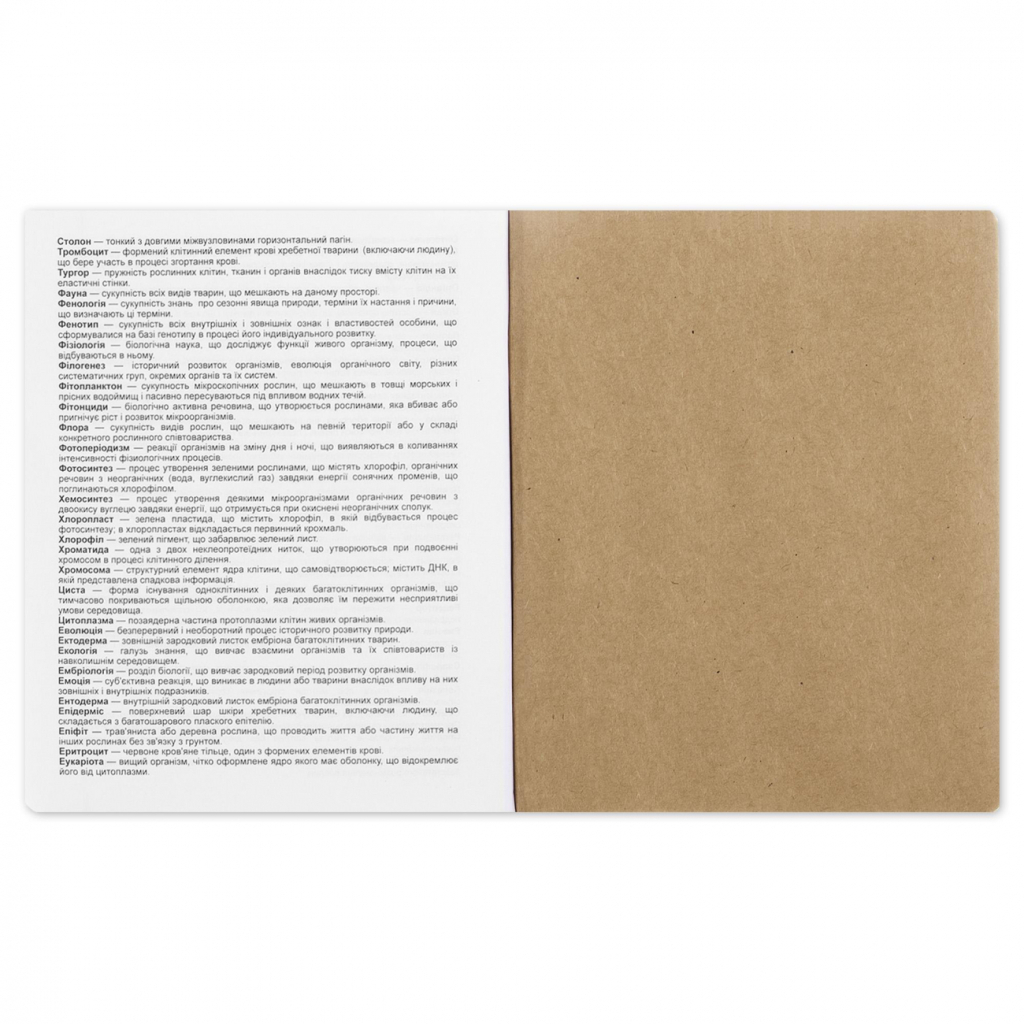 Зошит Yes предметний БІОЛОГІЯ Black cat 48 аркушів, клітинка (767448) - зображення 4