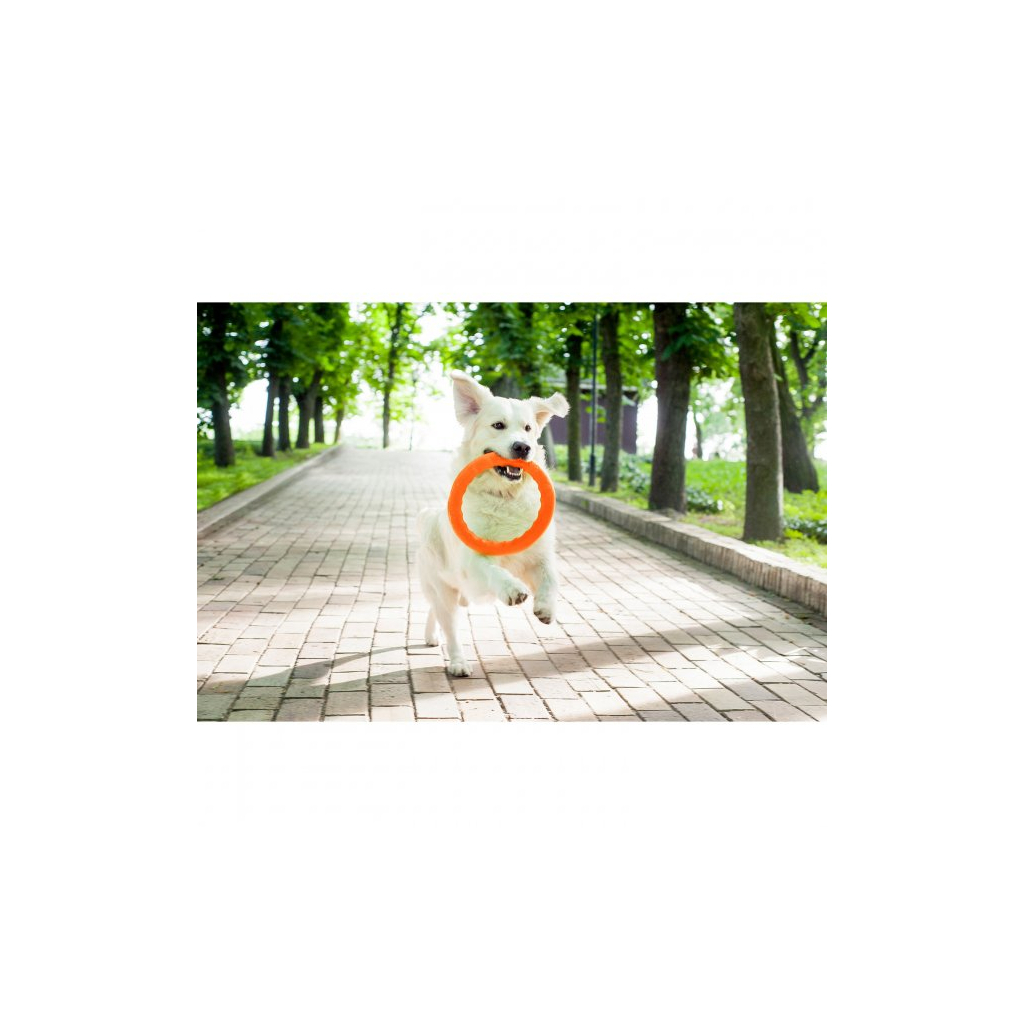 Іграшка для собак Collar PitchDog Кільце для апортування 28 см помаранчеве (62384) - зображення 4