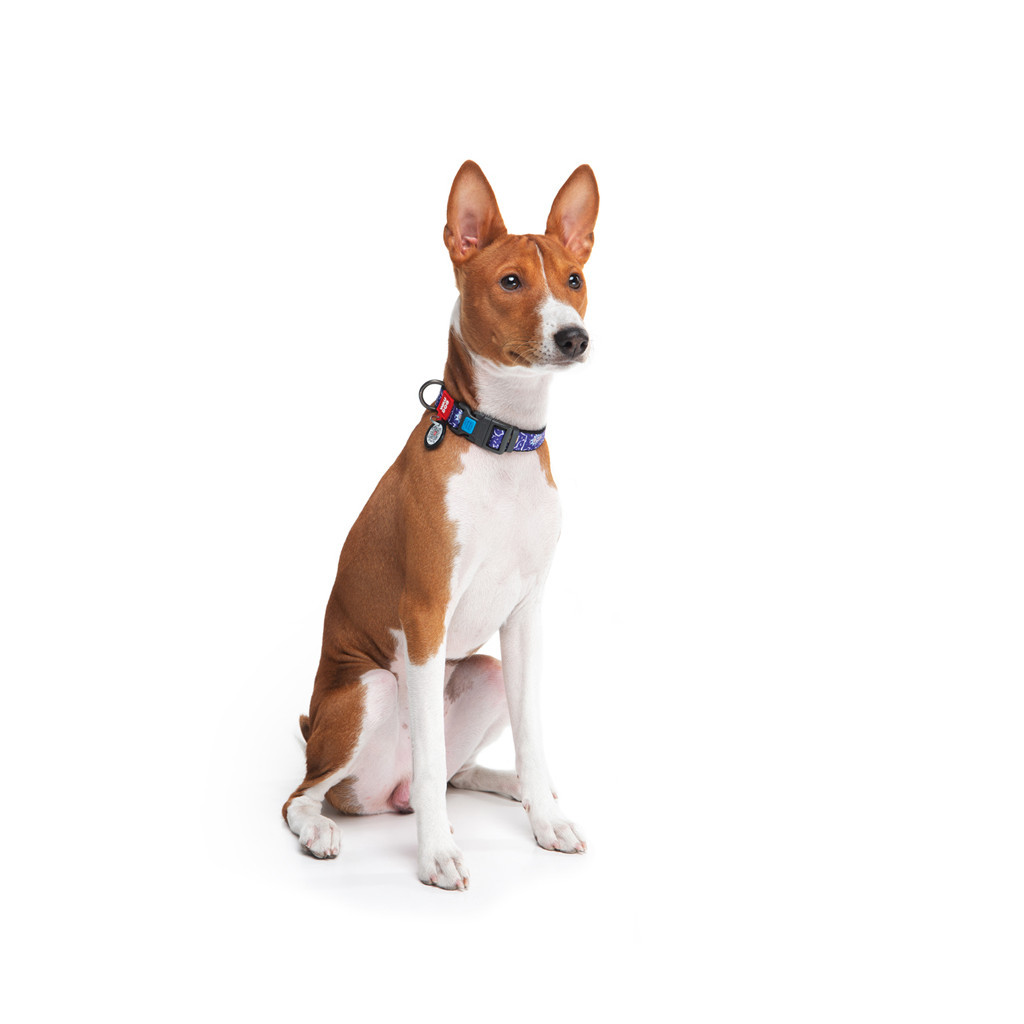 Нашийник для тварин WAUDOG Nylon з QR паспортом "Рік і Морті 2" пластиковий фастекс L (4503-0281) - зображення 4