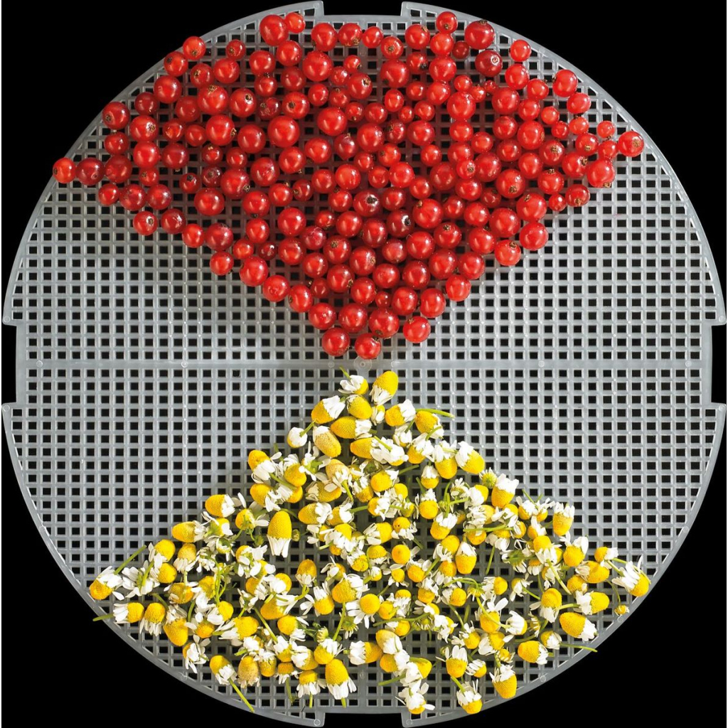 Сушка для овочів та фруктів Gorenje FDK20MG - зображення 3