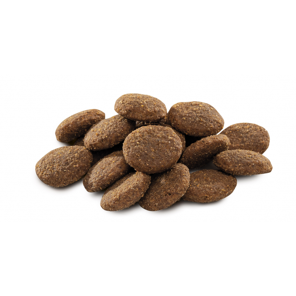 Сухий корм для собак Brit Premium Dog Adult XL 15 кг (8595602526529) - зображення 2