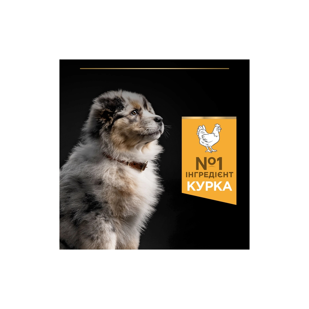 Сухий корм для собак Purina Pro Plan Dog Medium Puppy з високим вмістом курки 12 кг (7613035120402) - зображення 6