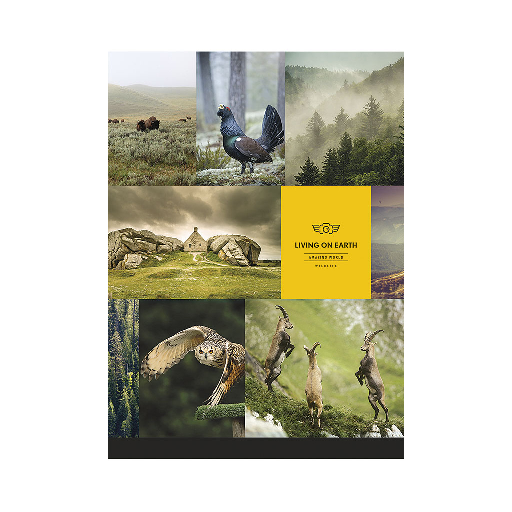 Зошит Школярик А4 Student лінія 80 аркушів (A4-080-5684L) - зображення 1