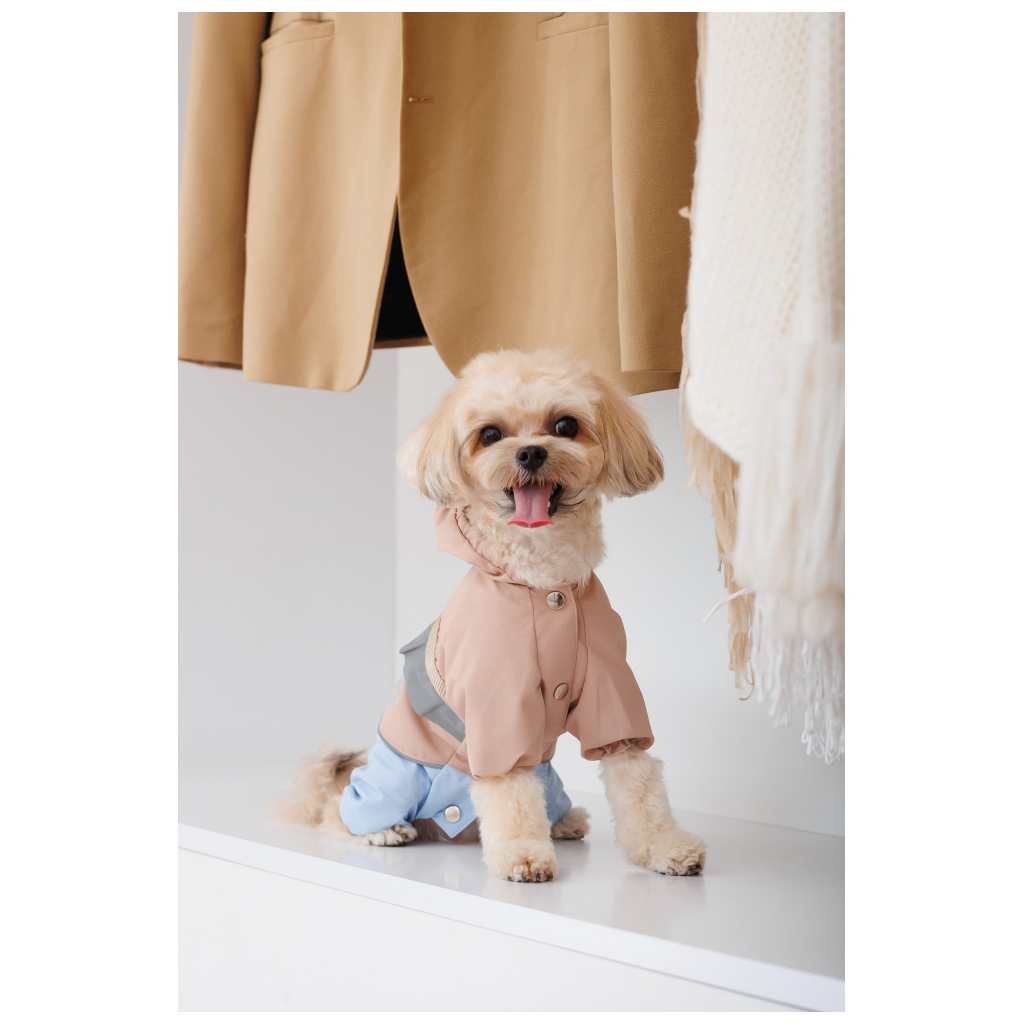 Дощовик для тварин Pet Fashion Tina М бежевий/блакитний (4823082435173) - зображення 5