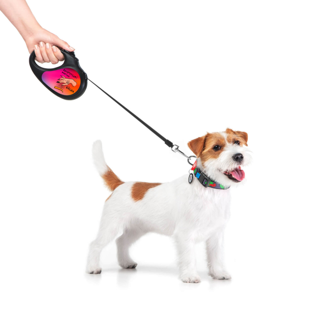 Повідець для собак WAUDOG R-leash Конотопські магічні війська світловідбиваюча стрічка M 5 м (8125-0232-01) - зображення 4