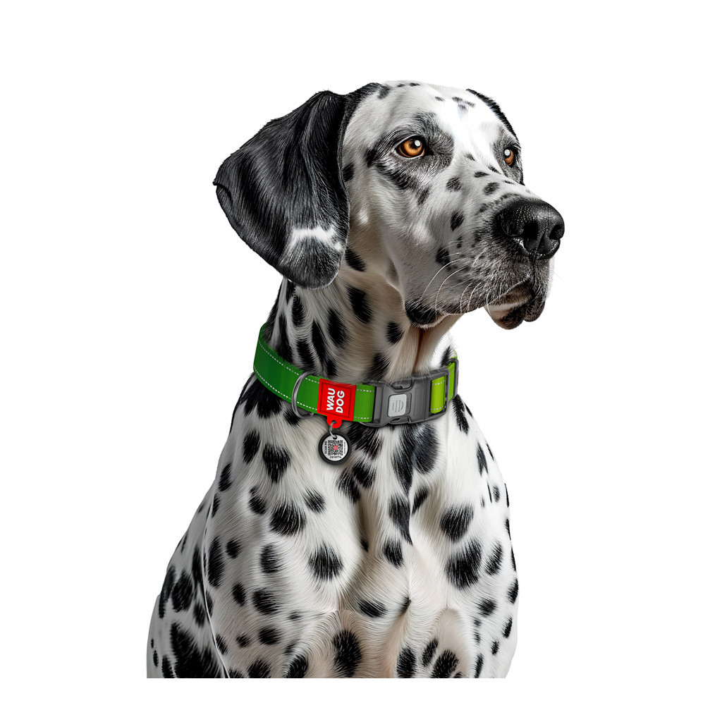 Нашийник для тварин WAUDOG Nylon Mono з QR паспортом, пластиковий фастекс S салатовий (52095) - зображення 4