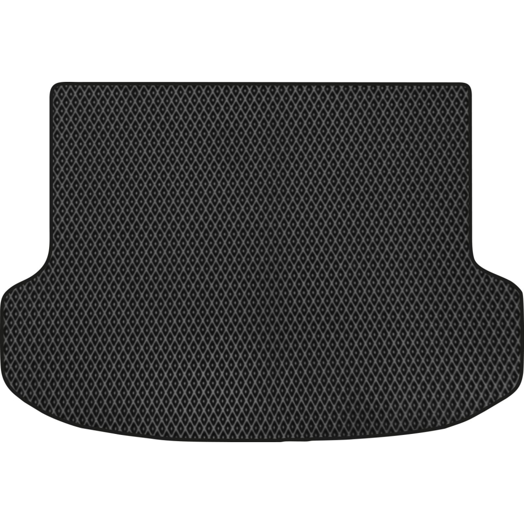 Килимок в багажник EVAtech Lexus RX 350 (AL10) 2009-2015 3 поколін (LS51670B1RBB) - зображення 1