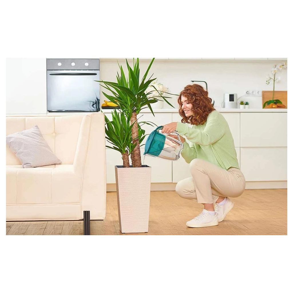 Фільтр-глечик Ecosoft Maxima 5л (3.5л очищеної води) з фільтр-картриджем, аква грін (FMVMAXIMADGECO) - зображення 9